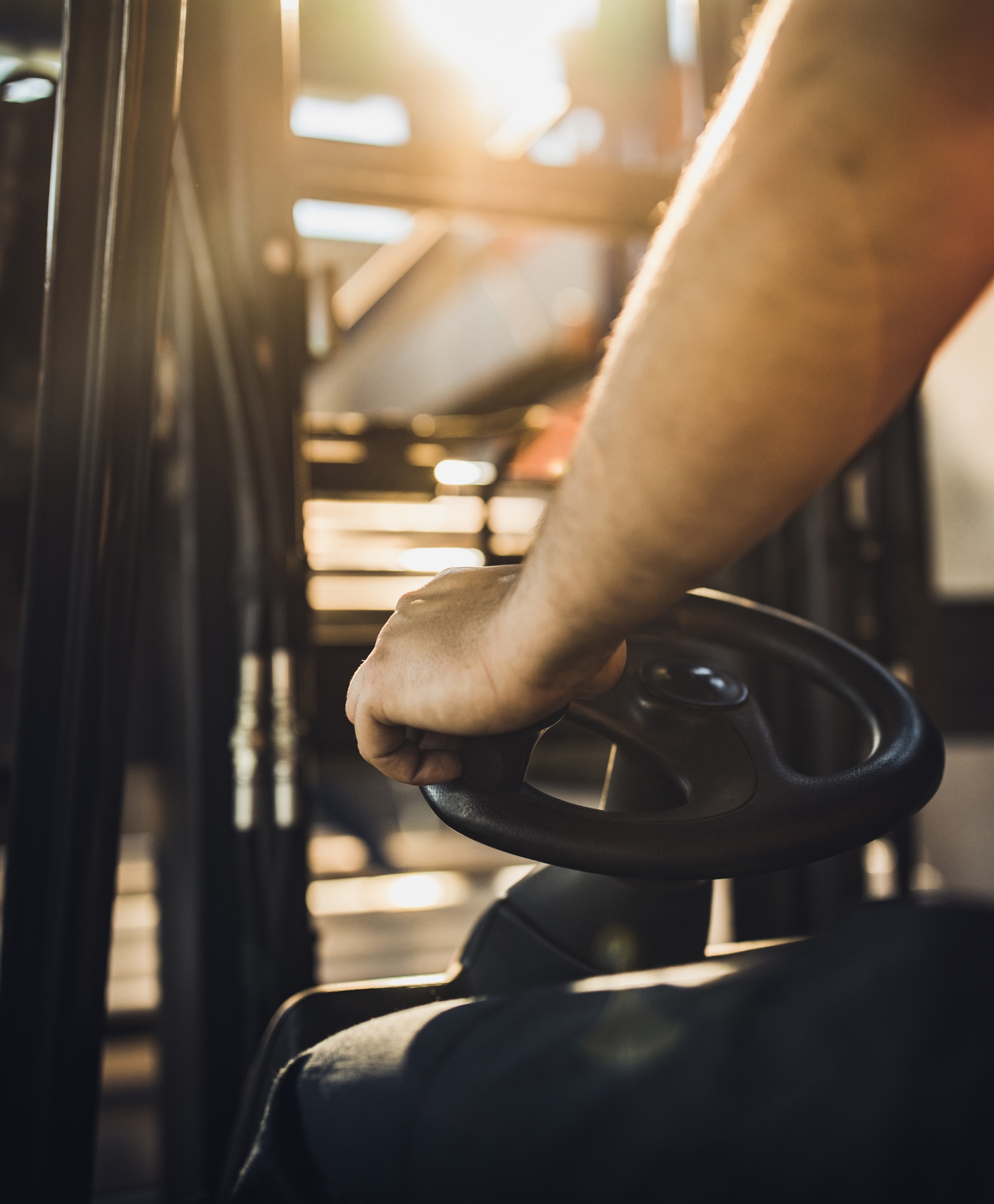 Materials Handline Portrait