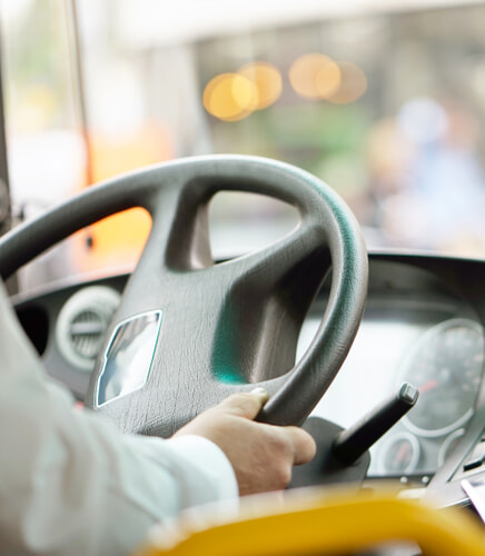 Bus And Coach Portrait 436x500