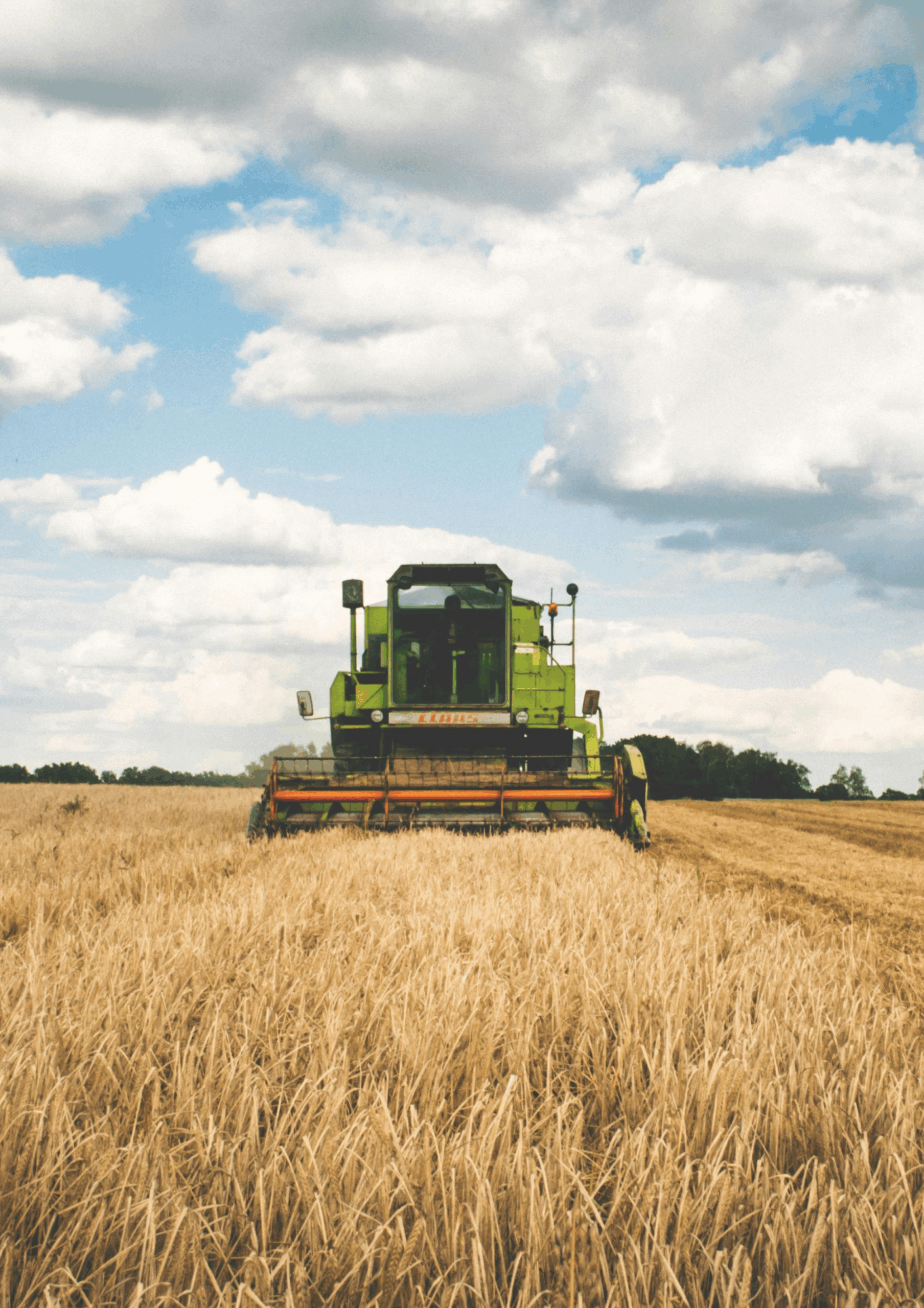 Untitled Design (21)